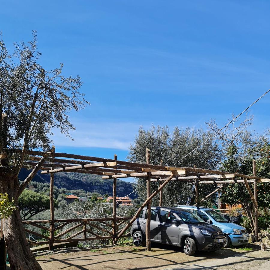 הוילה סורנטו Casa Betania Da Peppe מראה חיצוני תמונה