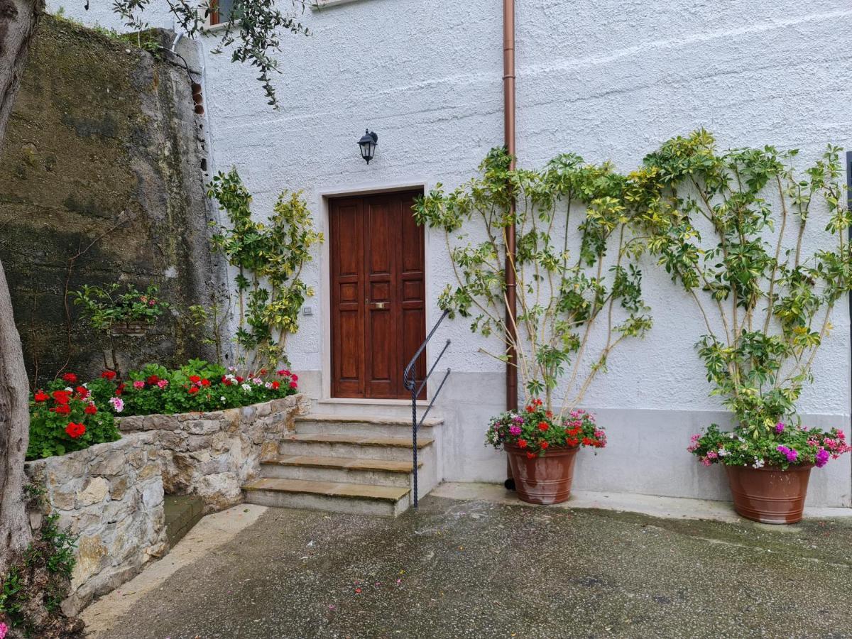 הוילה סורנטו Casa Betania Da Peppe מראה חיצוני תמונה
