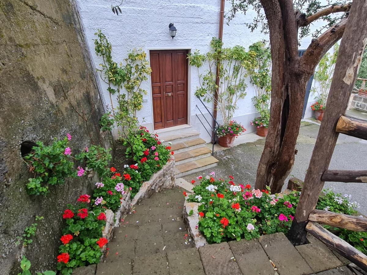 הוילה סורנטו Casa Betania Da Peppe מראה חיצוני תמונה