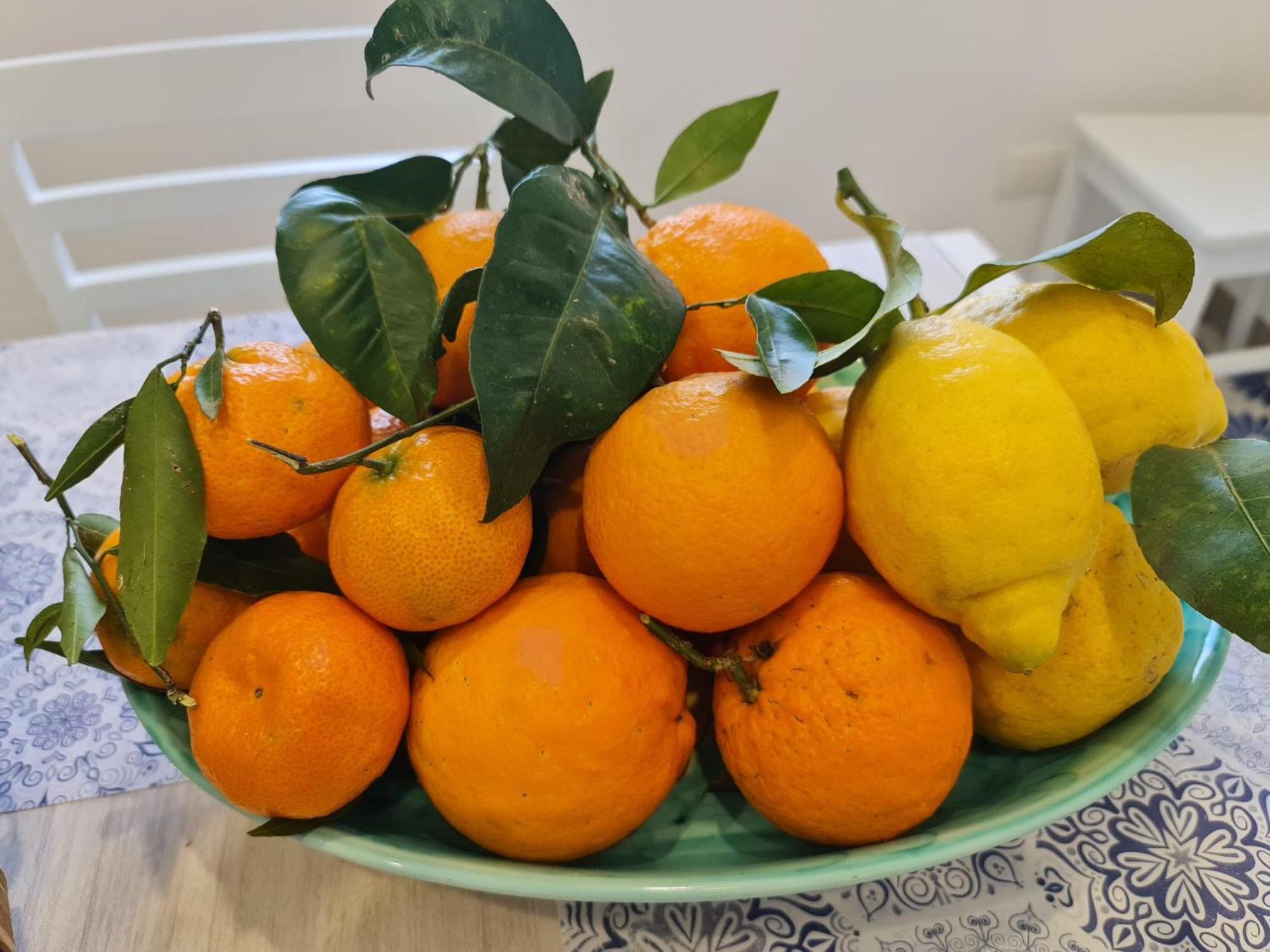 הוילה סורנטו Casa Betania Da Peppe מראה חיצוני תמונה